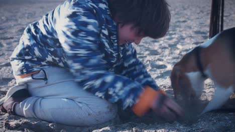 4K-al-aire-libre-playa-niño-y-perro-jugando-en-la-arena