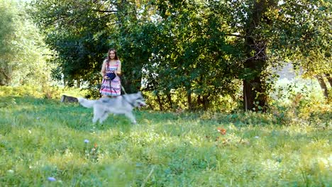 Una-mujer-joven-está-jugando-en-el-bosque-con-un-perro-husky.
