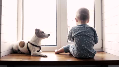 Baby-Boy-und-der-Hund-schaut-aus-dem-Fenster