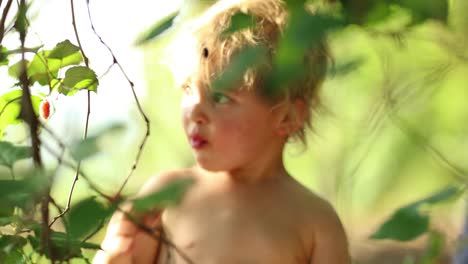 Candid-shot-of-infant-baby-boy-eating-berries-outside-in-4k-resolution