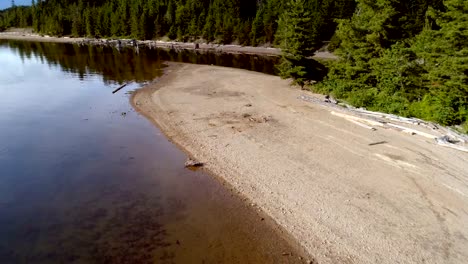 Frau-mit-ihrem-Hund-zu-Fuß-in-der-Nähe-Fluss-Küste-an-einem-sonnigen-Tag-4k