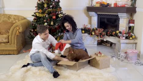 Junges-Paar-spielt-mit-Hund-in-der-Nähe-von-Christmas-tree