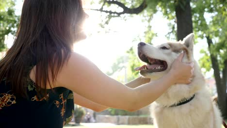 Haustier-haben-Spaß-in-der-Nähe-von-Gastgeberin-im-Freien,-Besitzer-streicheln-und-umarmen-seinen-husky-Hund-im-park