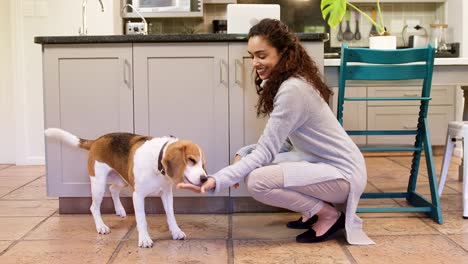 Glückliche-Frau-Fütterung-Nahrung-für-ihren-Hund-während-streicheln-4K-4k