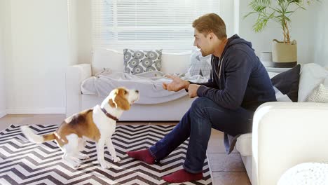 Junger-Mann-Fütterung-Lebensmittel-zu-verspielten-Haustier-Hund-4K-4k