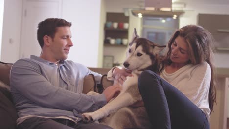 Jóvenes-amantes-de-la-pareja-relajándose-con-su-adorable-perro-en-su-sala-de-estar