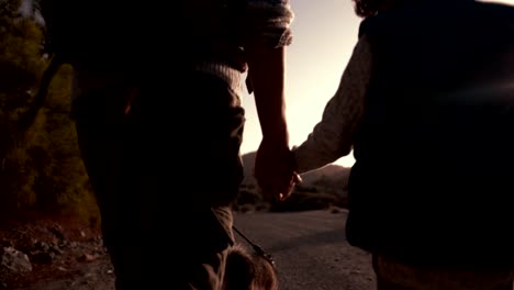 Father-and-son-holding-hands-and-hiking-with-dog