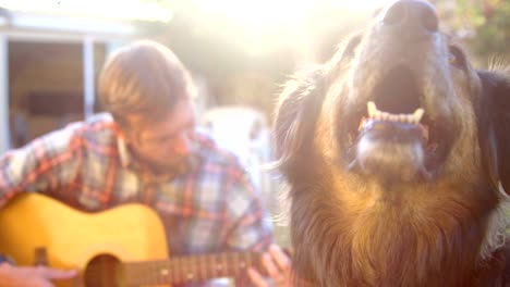 Mann-mit-seinem-Hund-spielt-Gitarre-im-Garten-4k