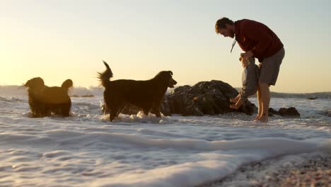 Father-and-baby-boy-playing-with-their-dog-in-the-beach-4k