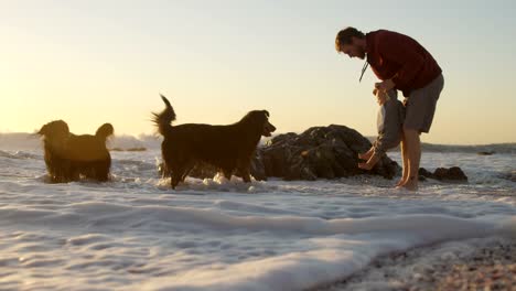 Padre-y-bebé-niño-jugando-con-su-perro-en-la-playa-4k