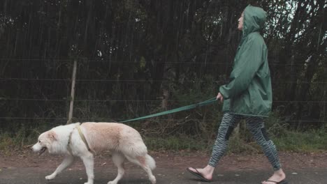 Frau,-die-ihre-netten-Hund-im-Regen