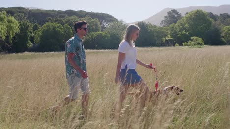 Slow-motion-couple-walking-their-dog-in-field-of-long-grass