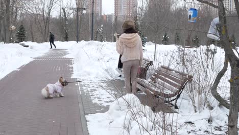 Spaziergang-mit-dem-Hund.-Mädchen-geht-mit-dem-Hund-Shih-Tzu-durch-den-Winter-Park-spazieren.