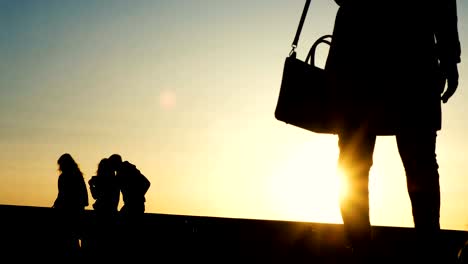 Silhouetten-von-Menschen,-die-Ruhe-im-Park-bei-Sonnenuntergang,-ein-Hund-zu-Fuß-in-den-Abend