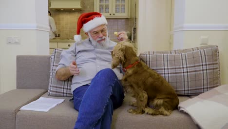 Niedlichen-Hund-fragt-einen-Snack-im-senior-Mann-trägt-die-weihnachtsmütze