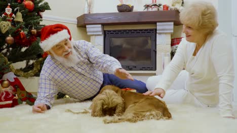 Reife-Frau-mit-Mann-streicheln-hundesitting-Erdgeschoss-in-der-Nähe-von-Christmas-tree