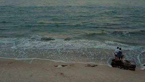 Luftaufnahme-des-jungen-Brautpaares-zu-Fuß-am-Strand-mit-husky-Hund