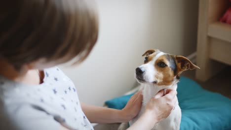 Pregnant-woman-with-her-dog