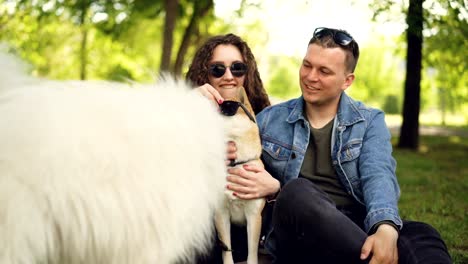 Junges-paar-Mädchen-und-Mann-haben-Spaß-im-Park-beobachten-Hunde-Shiba-Inu-Welpen-und-lachen-Sonnenbrille-aufsetzen.-Genießen-Sommer,-Tiere-und-Menschen-Konzept.