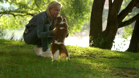 Junge-Mädchen-spielen-mit-Hund-in-den-Park,-verspielt,-Sonnenstrahlen