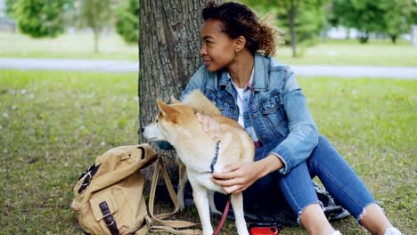 Loving-African-American-girl-student-is-stroking-lovable-shiba-inu-dog,-caressing-the-animal-sitting-under-the-tree-in-city-park.-Young-woman-is-wearing-denim-jacket-and-jeans.