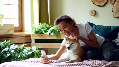 Chica-guapa-orgullosa-dueño-del-perro-está-haciendo-videollamada-y-acariciando-a-su-perro-de-raza-pura-mentira-en-cama-en-casa,-mujer-joven-está-hablando-y-mostrando-animales-al-interlocutor.