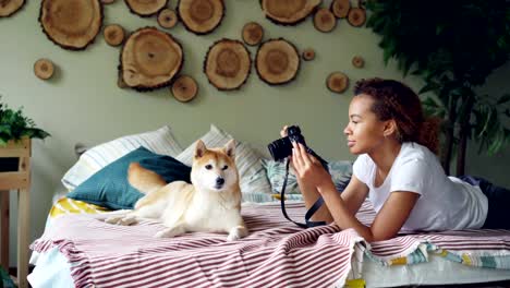 Junge-weibliche-Fotografin-schießt-schöne-Hund-auf-Bett-liegend-dann-gut-gezüchtete-Tiere-streicheln-und-beobachten-Bilder-auf-Kameradisplay.-Konzept,-Fotografie-und-Haustiere.