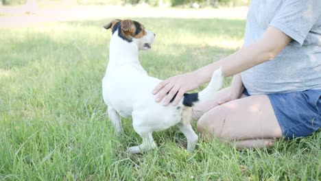 Frau-mit-ihrem-Hund-auf-dem-Rasen