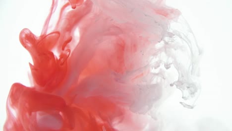 Red-and-White-color-paint-ink-drops-in-water-slow-motion-video-white-background-with-copy-space.-Inky-cloud-swirling-Abstract-isolated-smoke-explosion