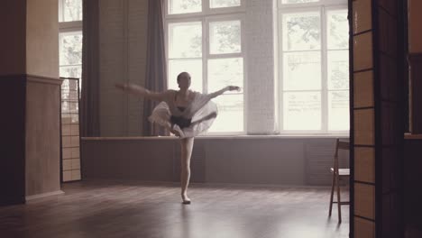 Danza-ballet-hermosas.