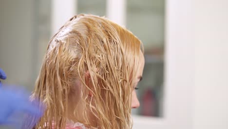 The-blonde-with-dyed-hair-sits-back-to-the-camera.-A-hairdresser's-hand-in-blue-gloves-applies-dye-on-hair-roots-at-the-bottom-of-parted-hair.-Then-she-stretches-hair-down.