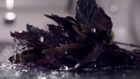 Falling-of-basil-into-the-wet-table.-Slow-motion-240-fps