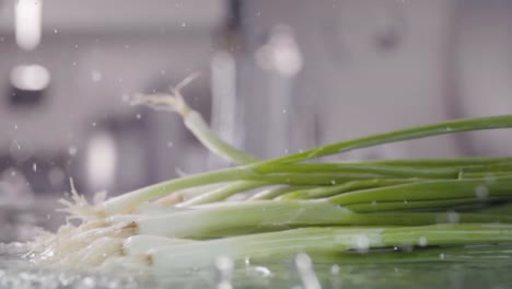 Falling-of-leek-green-onion-into-the-wet-table.-Slow-motion-480-fps