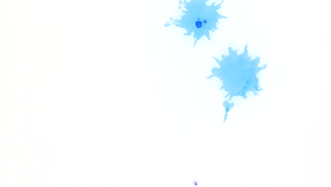 Blue-drops-ink-dropped-in-white-water.-Top-view.