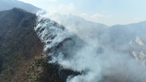 Un-tiro-aéreo-hacia-adelante,-el-bosque-cubierto-de-humo