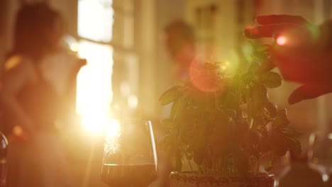 Woman-Picking-Basil-Leaves-From-Plant-In-Kitchen