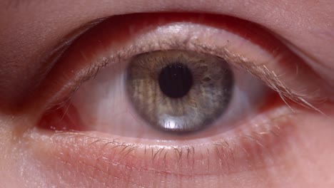 Close-up-shoot-of-greenish-eye-widening-and-shrinking-fastly-the-pupil.