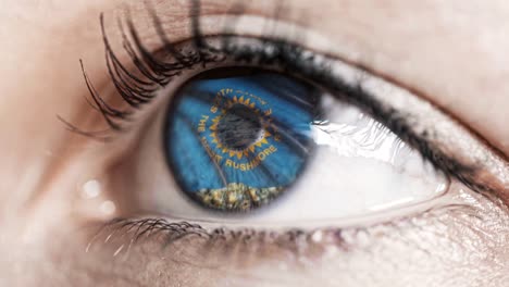 Woman-green-eye-in-close-up-with-the-flag-of-South-Dakota-state-in-iris,-united-states-of-america-with-wind-motion.-video-concept