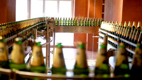 Large-number-of-glass-bottles-with-beer-are-moving-along-the-conveyor.-Low-alcohol-production.-Drinks-are-ready-to-eat.-Factory-equipment-at-work.-The-finished-product-moves-to-another-stage.-Factory-automation.