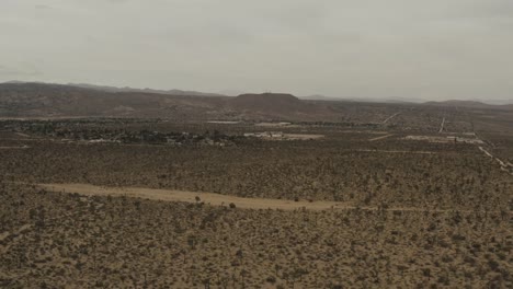 Flying-over-trees-in-the-desert.