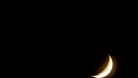 Mond-durch-ein-astronomisches-Fernrohr-und-ein-besonderes-Reittier-für-die-Verfolgung-von-Himmelsobjekte-fotografiert.-Meine-Astronomie-Arbeit.