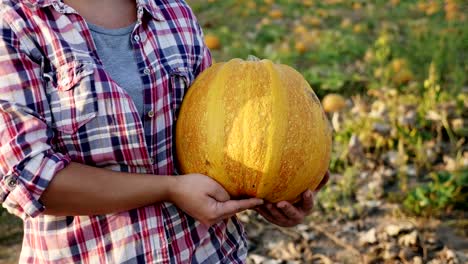 A-woman-is-carrying-a-pumpkin-in-her-hands