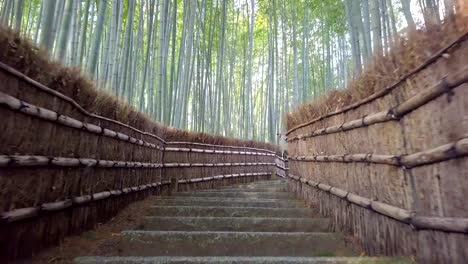 túnel-de-bambú-de-pasarela-llamado-bosque-de-bambú-de-Arashiyama-en-Kyoto,-punto-de-referencia-turística-de-Japón