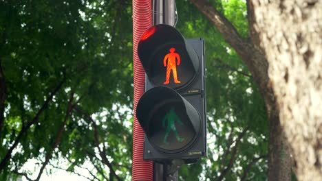 Traffic-Light-Changes-Colors