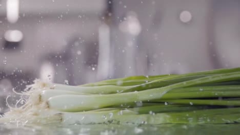 Falling-of-leek-green-onion-into-the-wet-table.-Slow-motion-480-fps