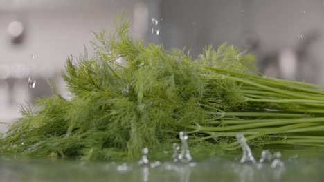 Falling-of-dill-into-the-wet-table.-Slow-motion-240-fps