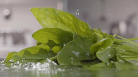 Falling-of-spinach-into-the-water.-Slow-motion-480-fps