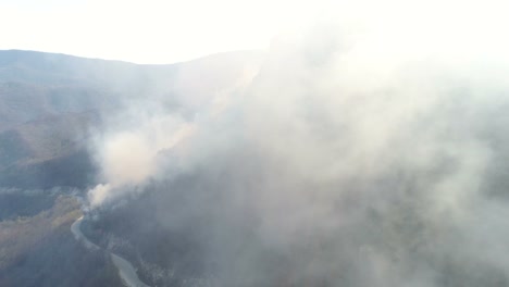 Aerial-footage-of-the-woods-covered-in-thick-smoke,-the-camera-is-going-through-the-smoke