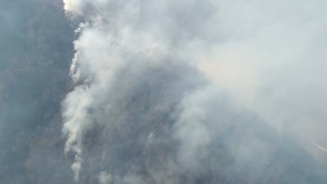 Aéreas-imágenes-móviles,-el-fuego-está-ardiendo-en-el-bosque...