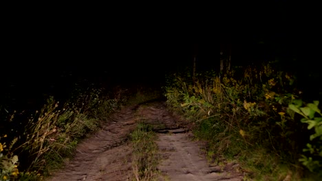 Fahren-auf-schlechten-Feldweg-in-der-Abenddämmerung-vor-dem-Hintergrund-der-Scheinwerfer-im-Busch